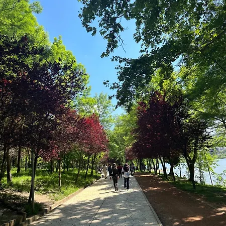 Tirana Residence Maison d'hôtes